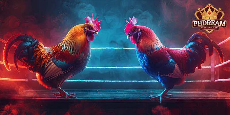 Overview of Cockfighting at PHDREAM