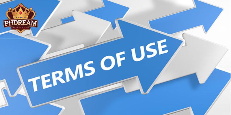 What Does the Terms of Use at PHDREAM Include?